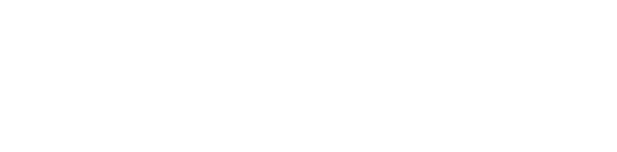 Vauldex Technology